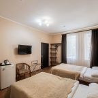Двухместный (Стандартный номер с 2 отдельными кроватями), Отель Сибирское подворье
