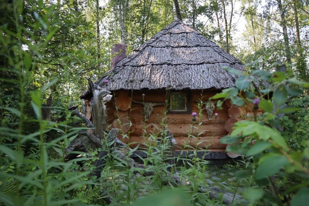 Номер (Дом с 1 спальней), Этнокомплекс Зеленый Остров Джажыл Ортолык Алтай