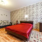 Апартаменты (Улучшенные апартаменты), Apartment Domashny Uyut on Sheinkmana 90