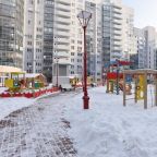 Апартаменты (Улучшенные апартаменты), Apartment Domashny Uyut on Sheinkmana 90