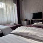 Двухместный (Двухместный номер с 2 отдельными кроватями и душем), Мини-гостиница Ника