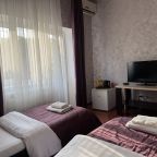 Двухместный (Двухместный номер с 2 отдельными кроватями и душем), Мини-гостиница Ника