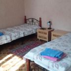 Двухместный (Двухместный номер с 2 отдельными кроватями), Guest house U Lary