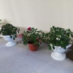 Двухместный (Стандартный двухместный номер с 2 отдельными кроватями), АкваМария