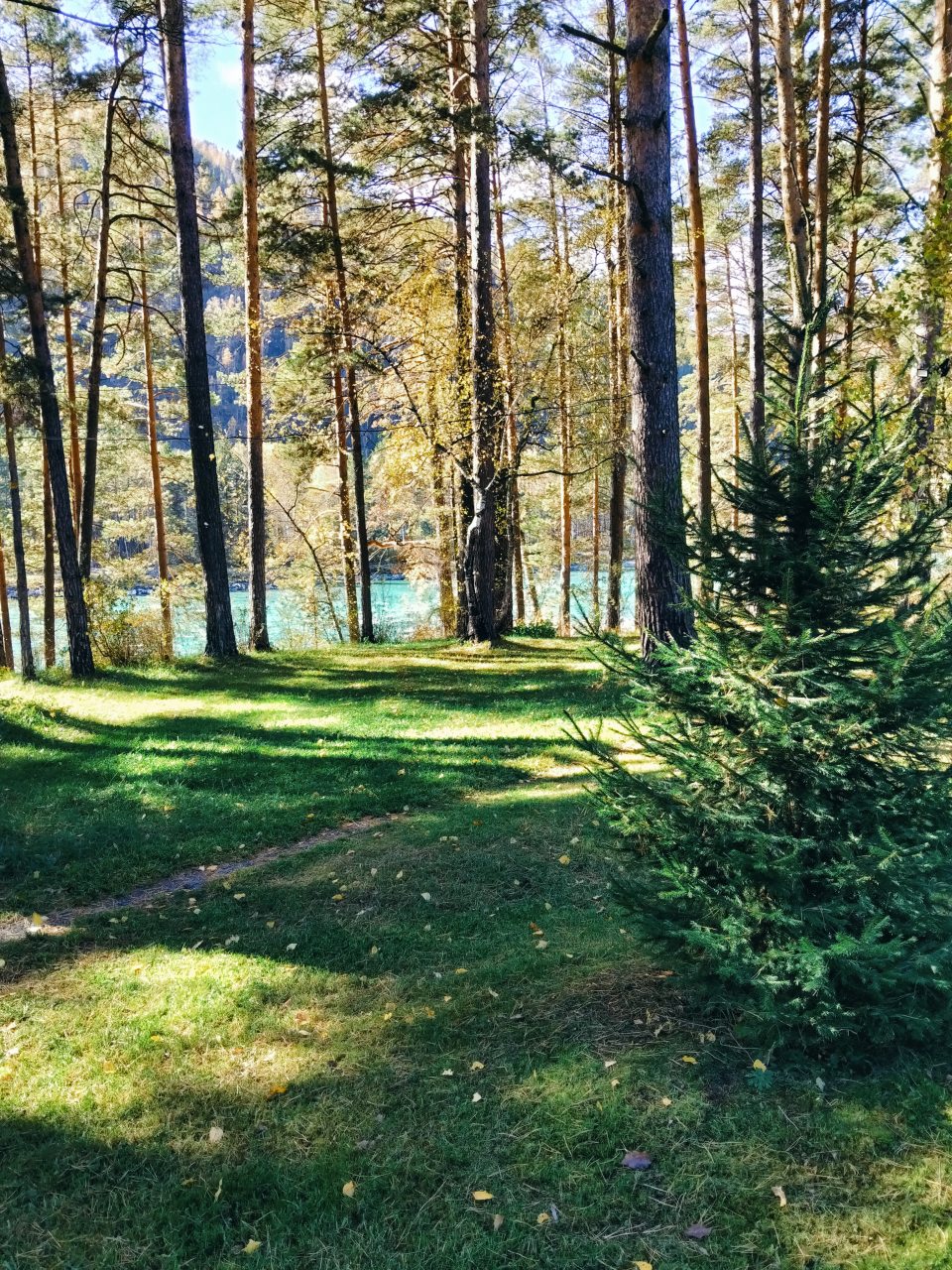 Двухместный (Двухместный номер), Лазурит