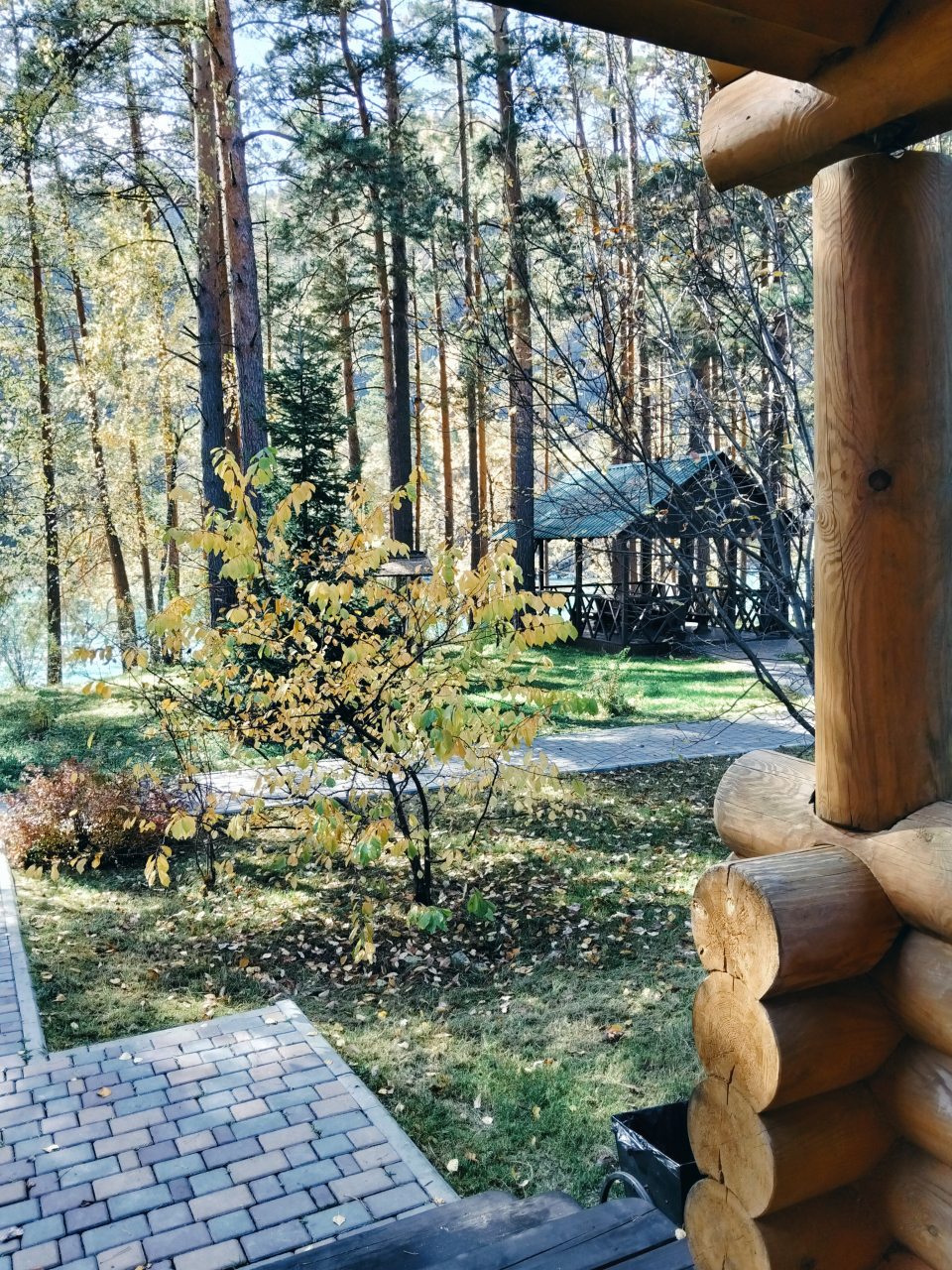 Делюкс (Пятиместный), Лазурит