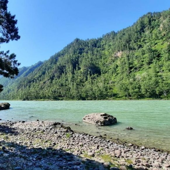 Гостевой дом Усадьба Бушминых, Чепош