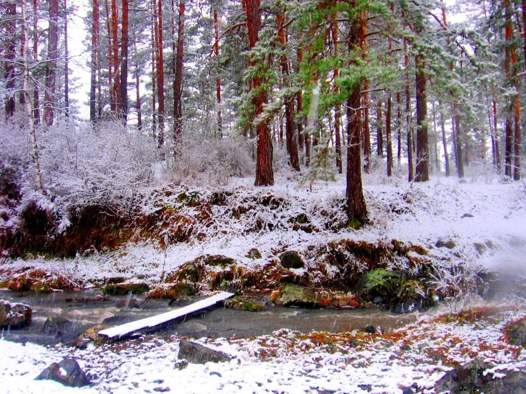 Номер (Дом для отпуска), Усадьба Уютная