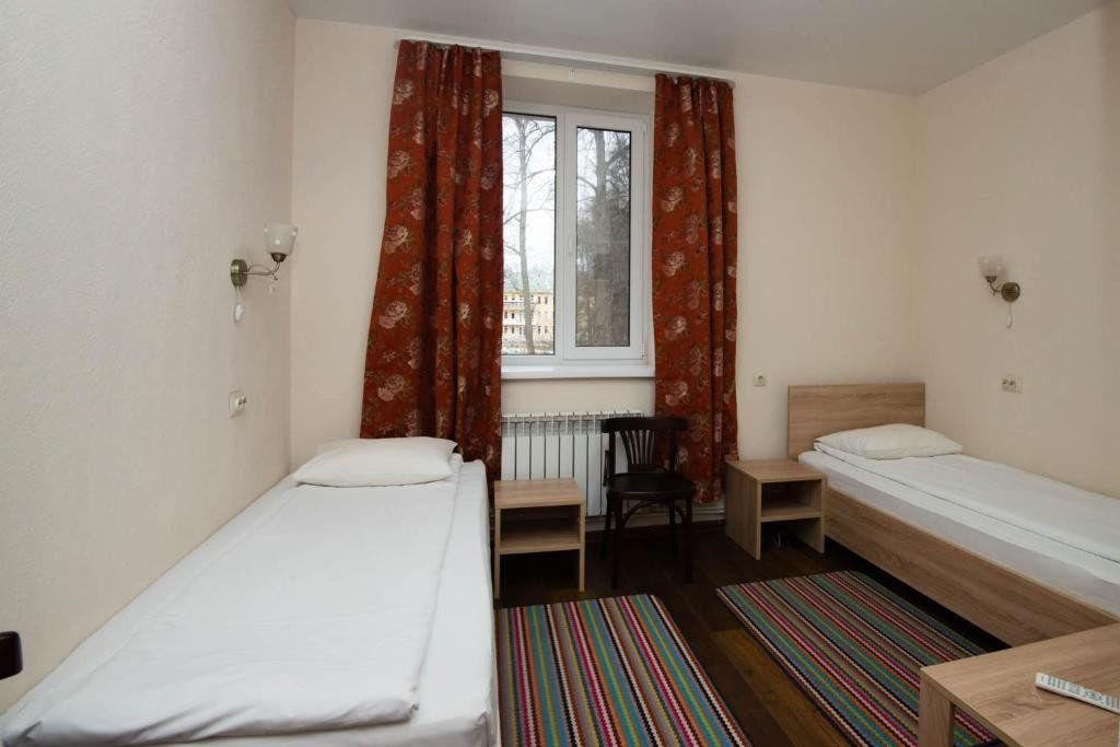 Двухместный (Бюджетный двухместный номер с 2 отдельными кроватями) отеля Визит-ЭКО, Горки Ленинские