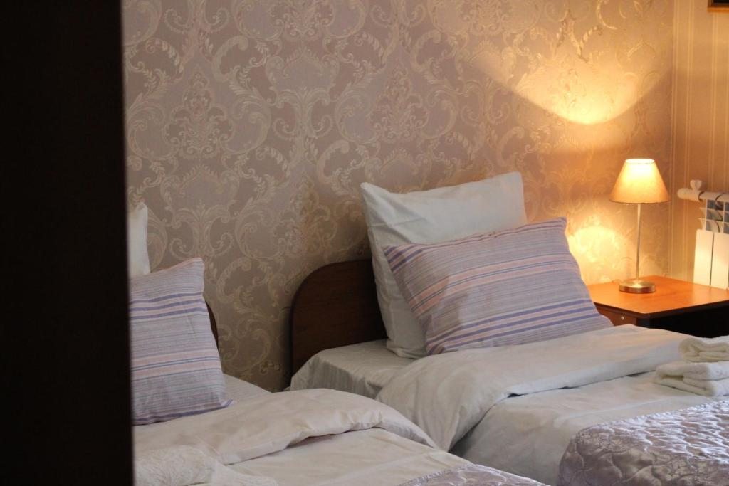 Двухместный (Двухместный номер с 2 отдельными кроватями) отеля Добриан, Лиман