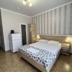 Двухместный (Стандартный двухместный номер с 1 кроватью), Гостевой дом Вояж