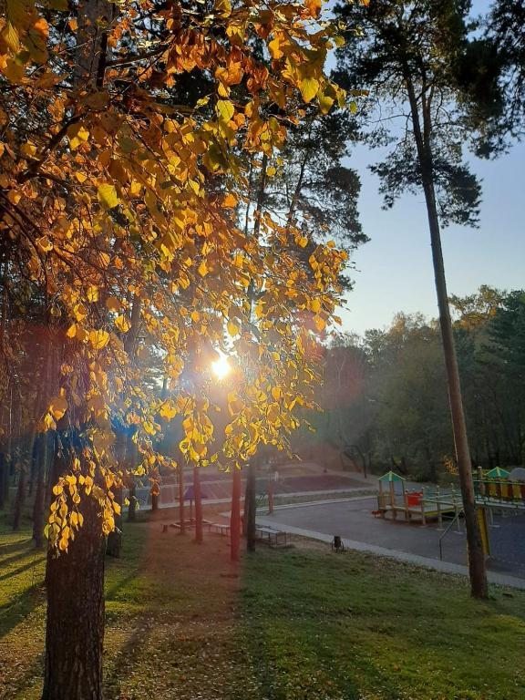 Апартаменты (Апартаменты с 1 спальней), Апартаменты у Рощи Звёздочка