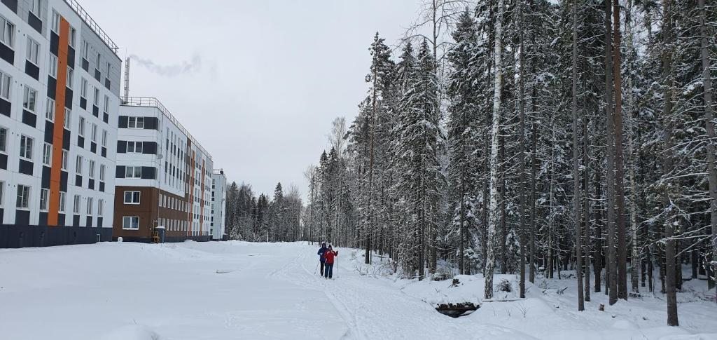 Апартаменты (Апартаменты с видом на сад), Apartment Forest House