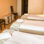 Трехместный Женский (Койко-место в стандарте 3-местном), Гостиница SMART HOTEL Новокузнецк