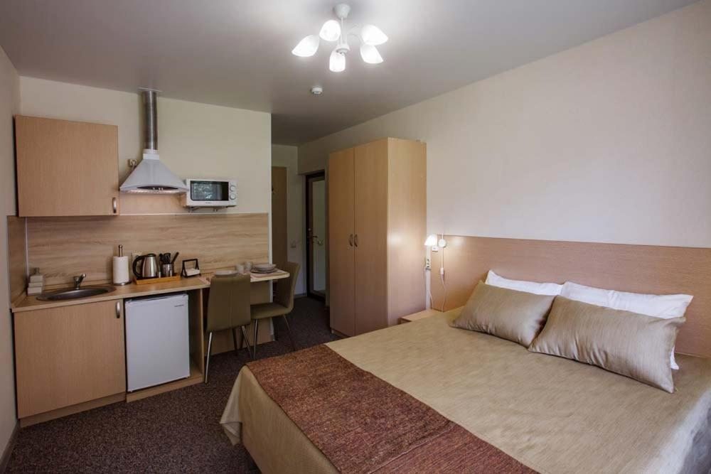 Двухместный (Большой двухместный номер с 1 кроватью или 2 отдельными кроватями) апарт-отеля LenDi, Москва