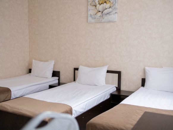 Фотография номера гостиницы Премьера