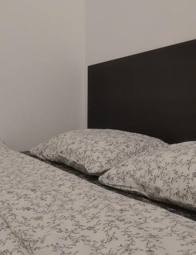 Фотография номера хостела EveryDay hostel