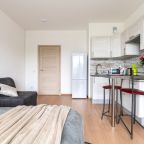 Студио (В ЖК Москва №2), Апартаменты RentalSPb Moscow-SPb