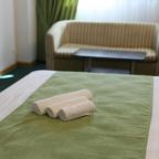 Двухместный (Двухместный номер Делюкс с 1 кроватью), AirportHotel