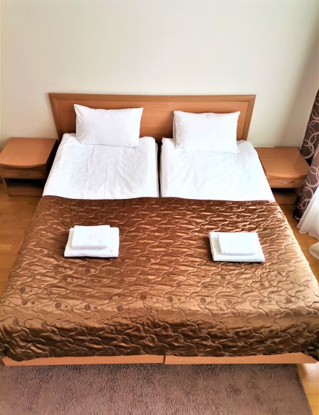 Фотография номера гостиницы Бизнес-отель Алексеевский