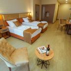 Двухместный (Стандартный двухместный номер с 2 отдельными кроватями), New Wave Hotel