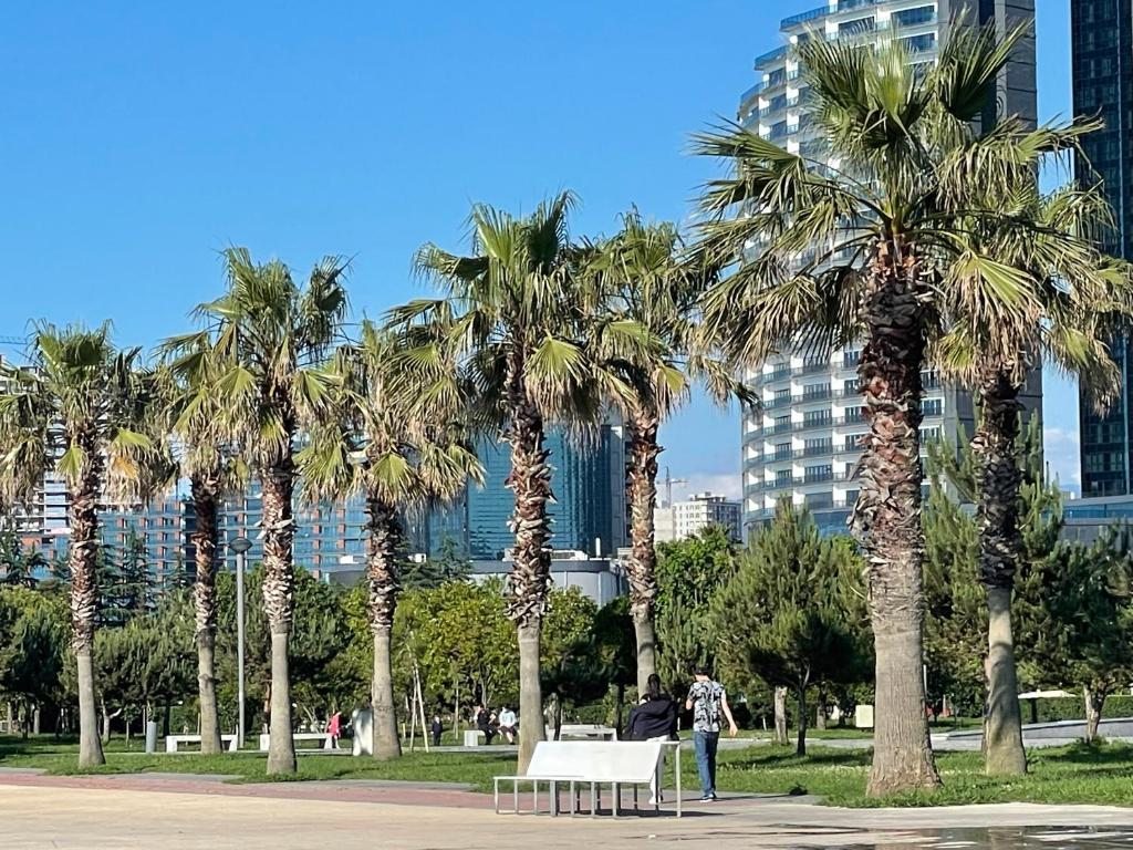 Студио (Номер-студио с видом на море), Sea view apartments Orbi Beach Tower