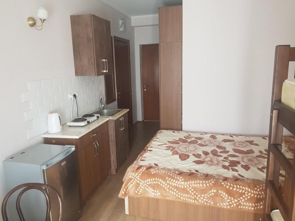 Студио (Номер-студия с видом на горы), Bakuriani Hotel K2 Apartments