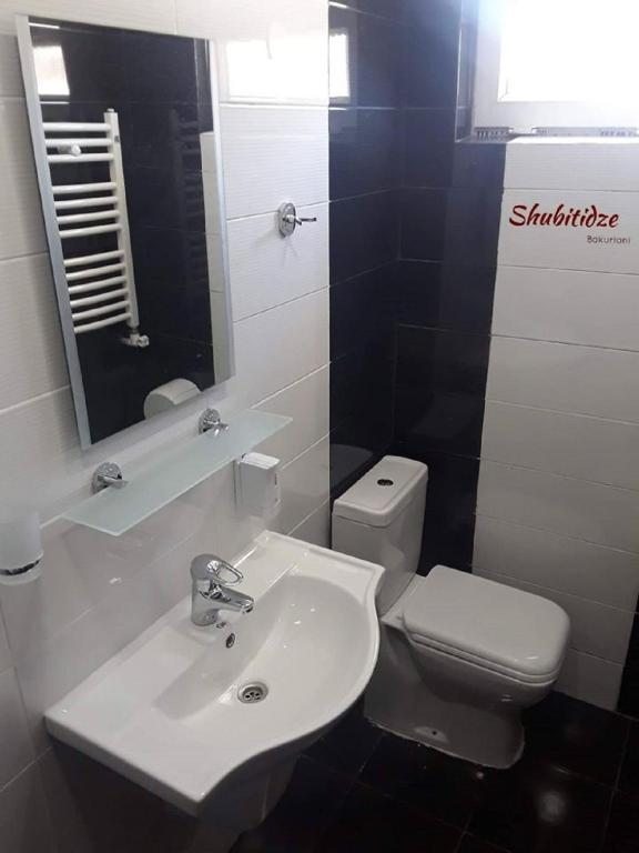 Двухместный (Двухместный номер с 1 кроватью и собственной ванной комнатой) отеля Hotel Shubitidze, Бакуриани