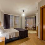 Двухместный (Стандартный двухместный номер с 1 кроватью), Antalya Business Hotel