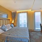 Двухместный (Двухместный номер Делюкс с 1 кроватью), Adelmar Hotel Istanbul Sisli