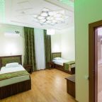 Двухместный (Двухместный номер с 2 отдельными кроватями и окном), Hotel Rayhon