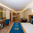 Двухместный (Бюджетный двухместный номер с 1 кроватью), Byzantium Comfort Hotel