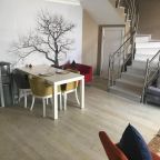 Апартаменты (Двухуровневые апартаменты), CTS Taksim Elysium Residence Duplex 90 (2+1)