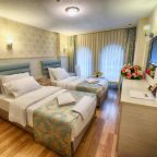 Двухместный (Двухместный номер Делюкс с 2 отдельными кроватями), Florenta Hotel