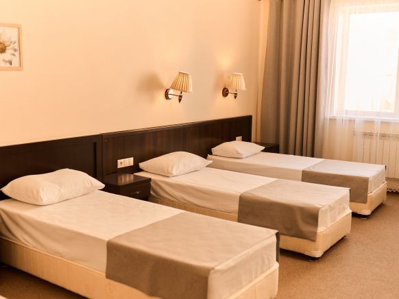 Фотография номера гостиницы Лотос