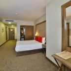 Двухместный (Улучшенный двухместный номер с 1 кроватью), ibis Styles Istanbul Bomonti