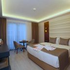 Двухместный (Стандартный двухместный номер с 1 кроватью), My Dream Istanbul Hotel