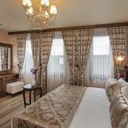 Двухместный (Стандартный двухместный номер с 1 кроватью), Perapolis Hotel