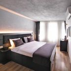 Двухместный (Двухместный номер эконом-класса с 1 кроватью), Seya Suites Hotel