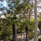 De Luxe (1), Санаторий Сосновая роща