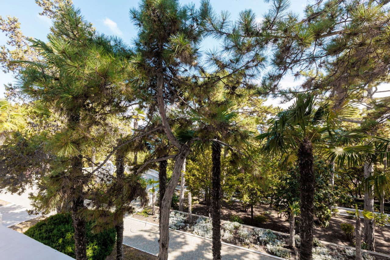 De Luxe (1), Санаторий Сосновая роща