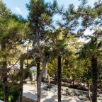 De Luxe (1), Санаторий Сосновая роща