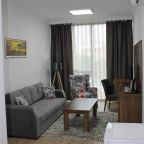 Сьюит (Стандартный двухместный люкс с 1 кроватью), Skyport Istanbul Hotel