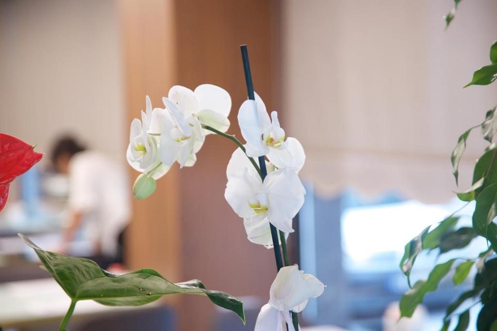 Двухместный (Стандартный двухместный номер с 1 кроватью), THE TANGO HOTEL TAKSİM