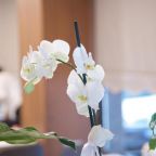 Двухместный (Стандартный двухместный номер с 1 кроватью), THE TANGO HOTEL TAKSİM
