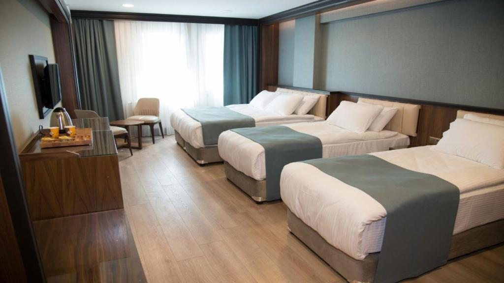 Двухместный (Стандартный двухместный номер с 1 кроватью) отеля Valens Hotel İstanbul, Стамбул