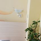 Двухместный (Двухместный 2 с одной двух спальной кроватью), Хостел Ночь Легка