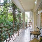 Двухместный (Стандарт Комфорт Парк), Гостиница Palmira Palace