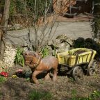 Качели, Меблированные комнаты На Горького