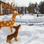 Новогодняя программа в загородном отеле Яхонты Таруса, Загородный отель Яхонты Таруса